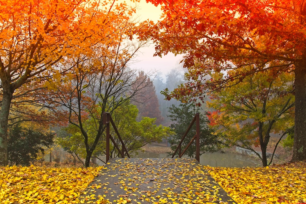 October Weather in US Cities | Tuva