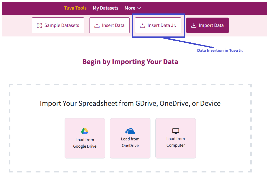 Screenshot of the dataset import page with the Insert Data Jr. option highlighted