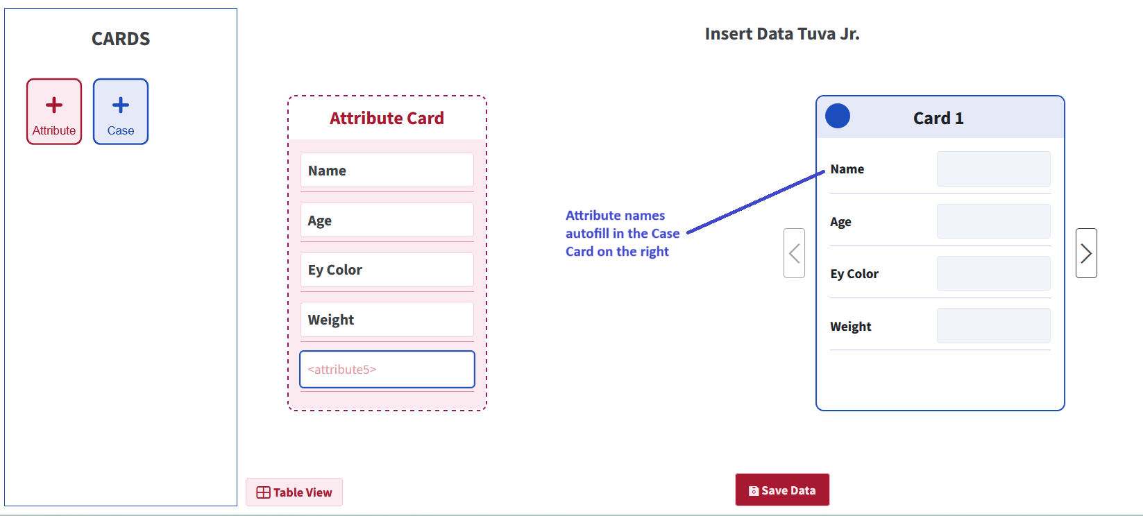 Screenshot of Insert Data Tuva Jr. with attribute names entered in the Attribute Card and automatically filled into the Case Card